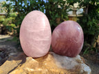 Polished Rose Quartz Standing Free Forms x 2 From Madagascar - Toprock Gemstones and Minerals 