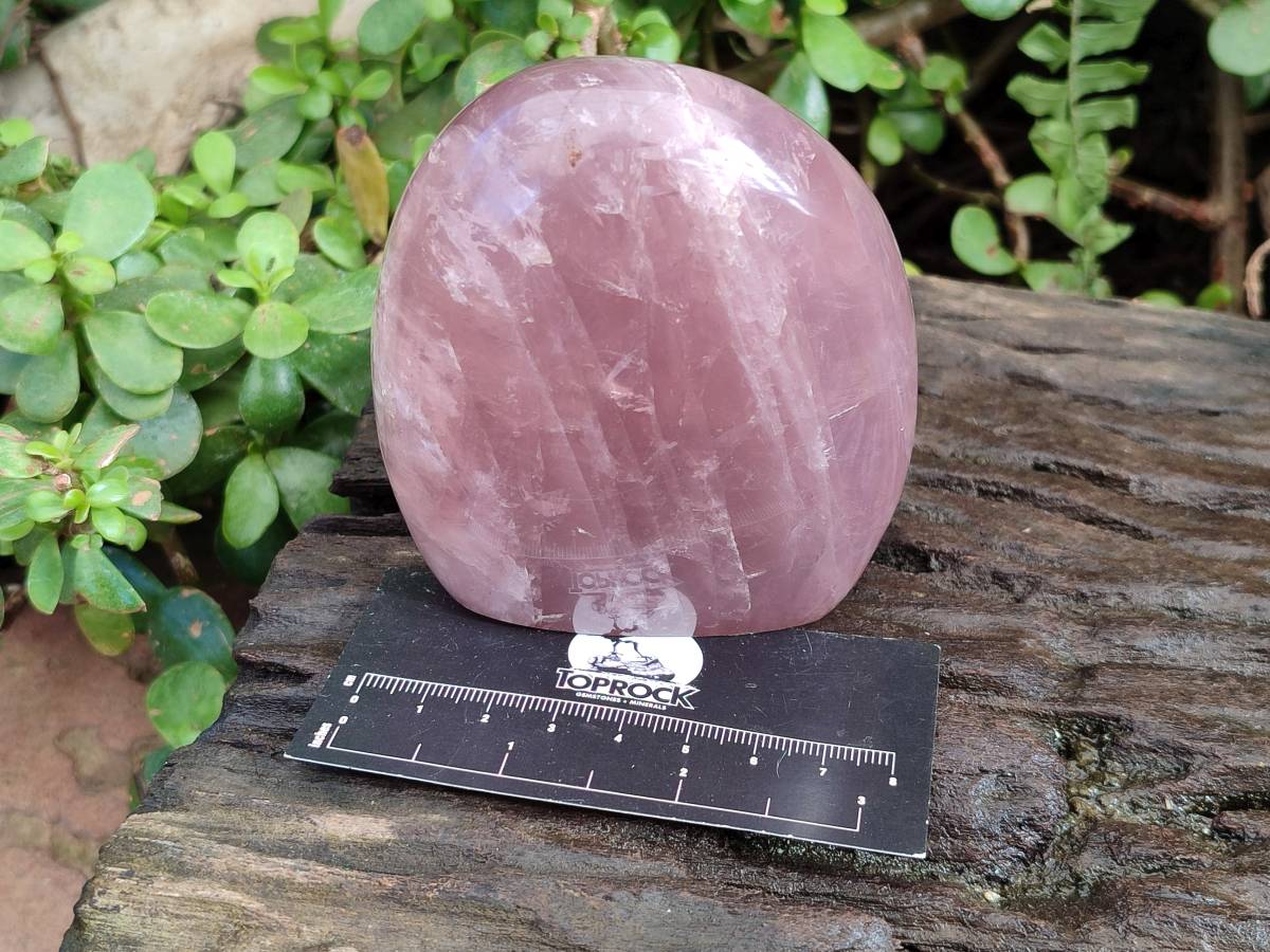Polished Rose Quartz Standing Free Forms x 2 From Madagascar - Toprock Gemstones and Minerals 