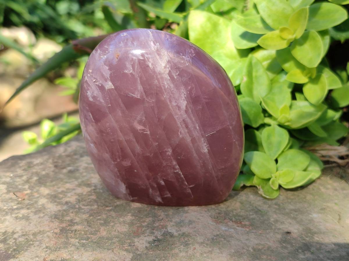 Polished Rose Quartz Standing Free Forms x 2 From Madagascar - Toprock Gemstones and Minerals 