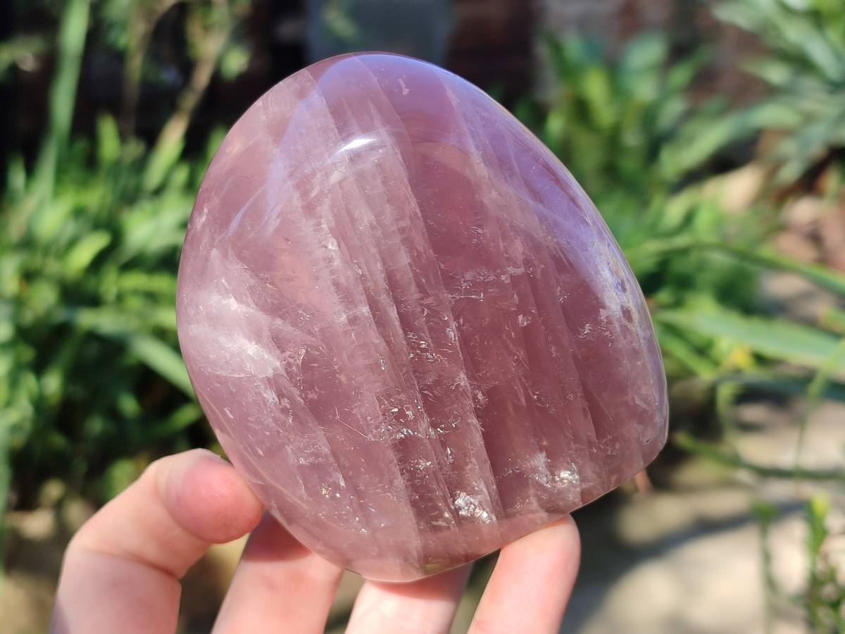 Polished Rose Quartz Standing Free Forms x 2 From Madagascar - Toprock Gemstones and Minerals 