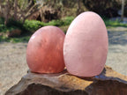 Polished Rose Quartz Standing Free Forms x 2 From Madagascar - Toprock Gemstones and Minerals 