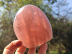 Polished Rose Quartz Standing Free Forms x 2 From Madagascar - Toprock Gemstones and Minerals 