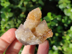 Natural Spirit Quartz Crystals x 35 From South Africa - Toprock Gemstones and Minerals 
