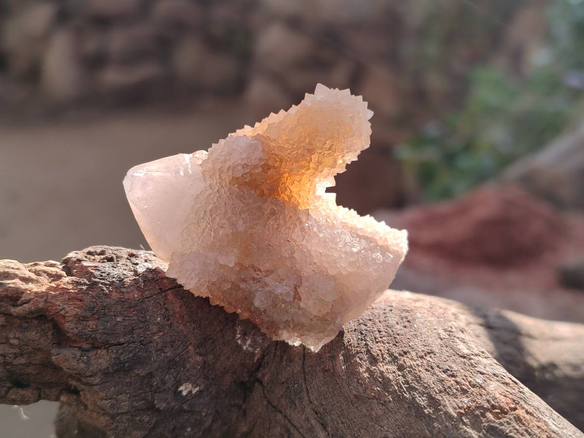 Natural Spirit Quartz Crystals x 35 From South Africa - Toprock Gemstones and Minerals 