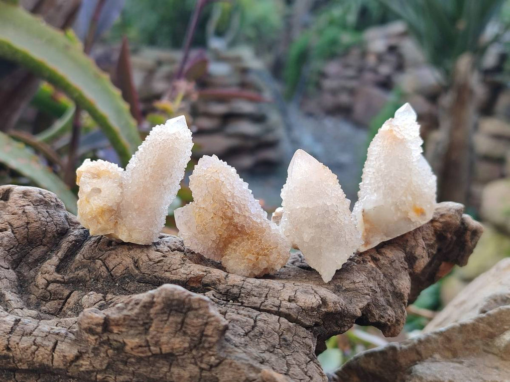 Natural Spirit Quartz Crystals x 35 From South Africa - Toprock Gemstones and Minerals 
