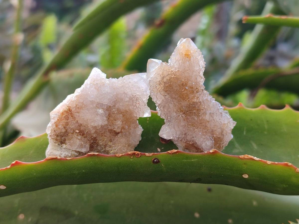 Natural Spirit Quartz Crystals x 35 From South Africa - Toprock Gemstones and Minerals 