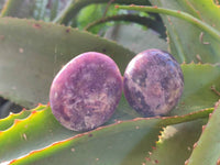 Polished Lepidolite With Pink Rubellite Palm Stones x 24 From Ambatondrazaka, Madagascar - Toprock Gemstones and Minerals 