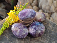 Polished Lepidolite With Pink Rubellite Palm Stones x 24 From Ambatondrazaka, Madagascar - Toprock Gemstones and Minerals 