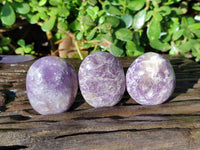 Polished Lepidolite With Pink Rubellite Palm Stones x 24 From Ambatondrazaka, Madagascar - Toprock Gemstones and Minerals 