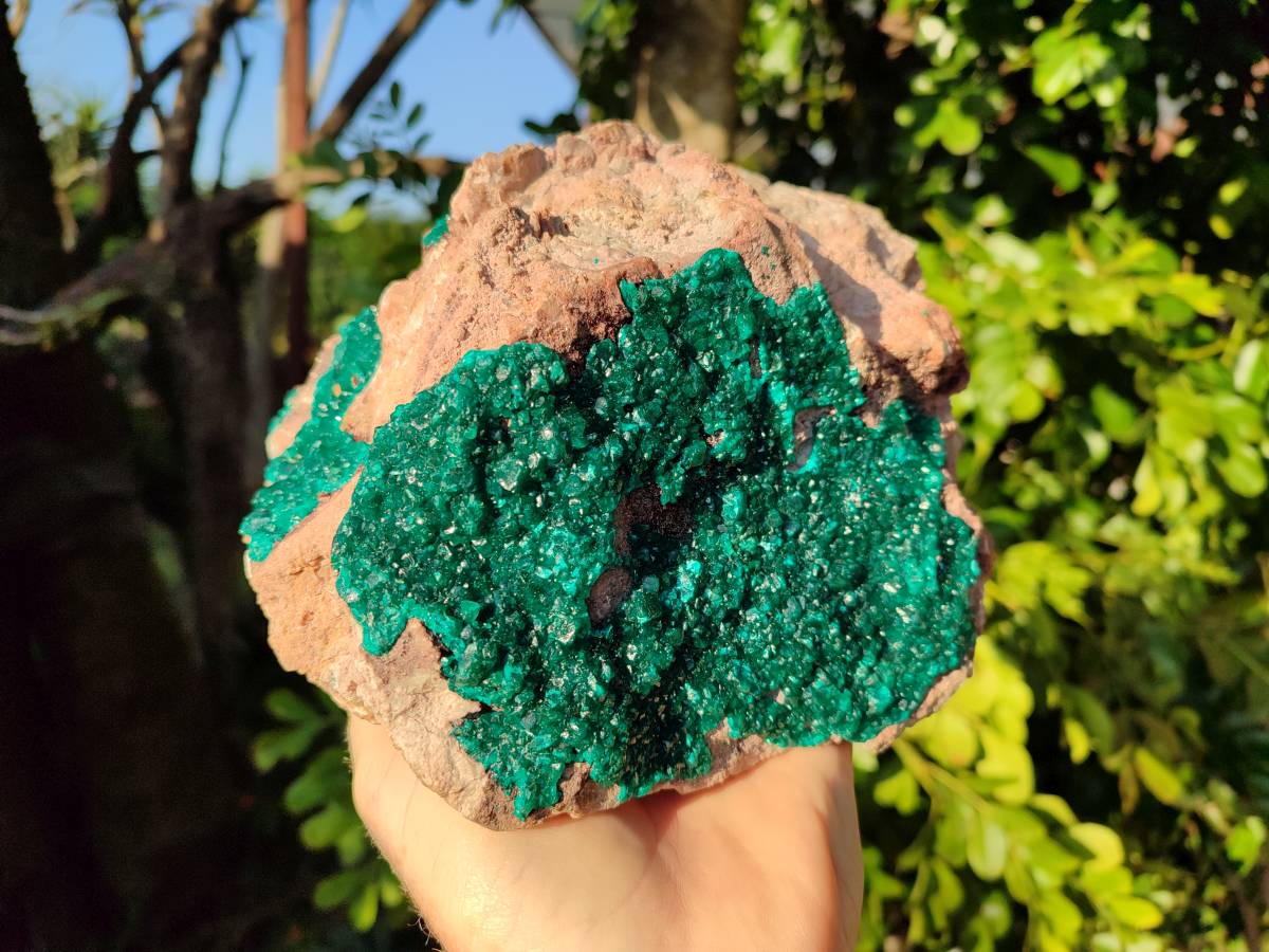 Natural Dioptase On Dolomite Specimen x 1 From Likasi, Congo - Toprock Gemstones and Minerals 