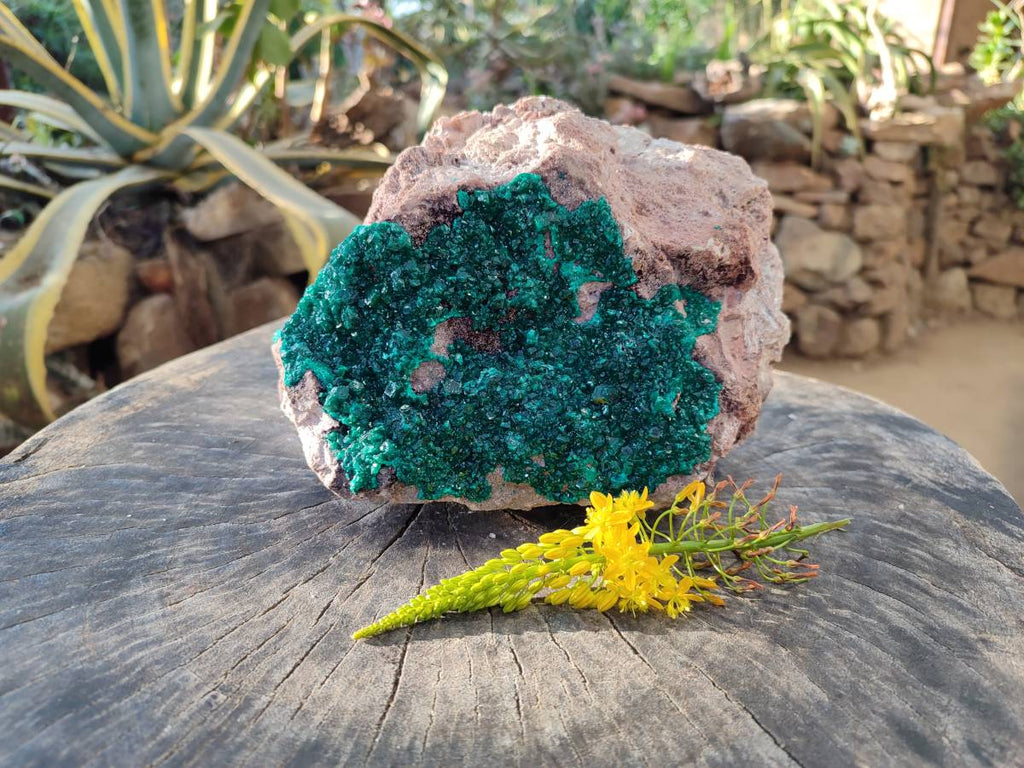 Natural Dioptase On Dolomite Specimen x 1 From Likasi, Congo - Toprock Gemstones and Minerals 
