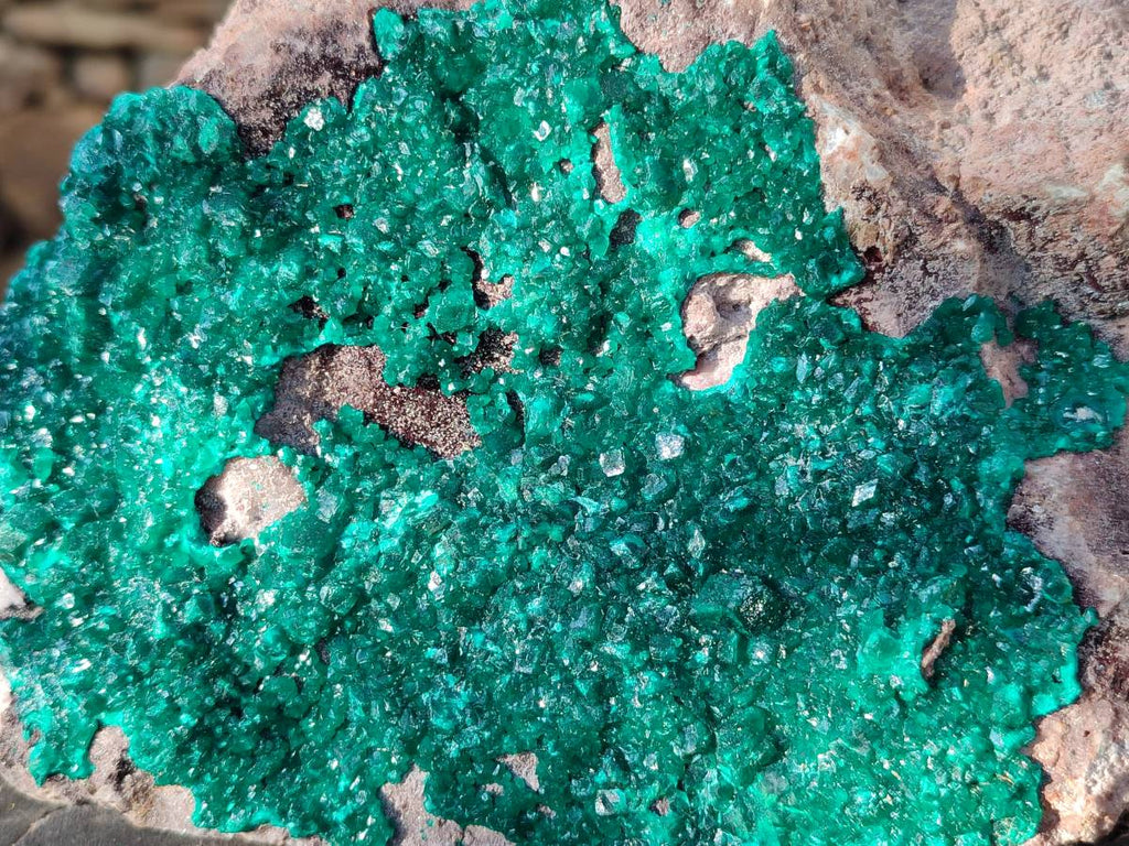 Natural Dioptase On Dolomite Specimen x 1 From Likasi, Congo - Toprock Gemstones and Minerals 