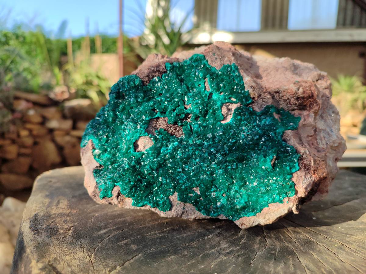 Natural Dioptase On Dolomite Specimen x 1 From Likasi, Congo - Toprock Gemstones and Minerals 