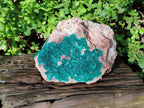 Natural Dioptase On Dolomite Specimen x 1 From Likasi, Congo - Toprock Gemstones and Minerals 