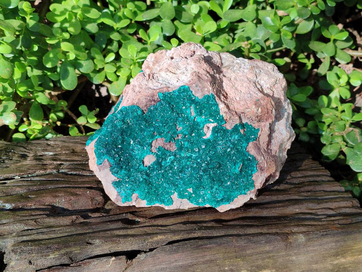 Natural Dioptase On Dolomite Specimen x 1 From Likasi, Congo - Toprock Gemstones and Minerals 