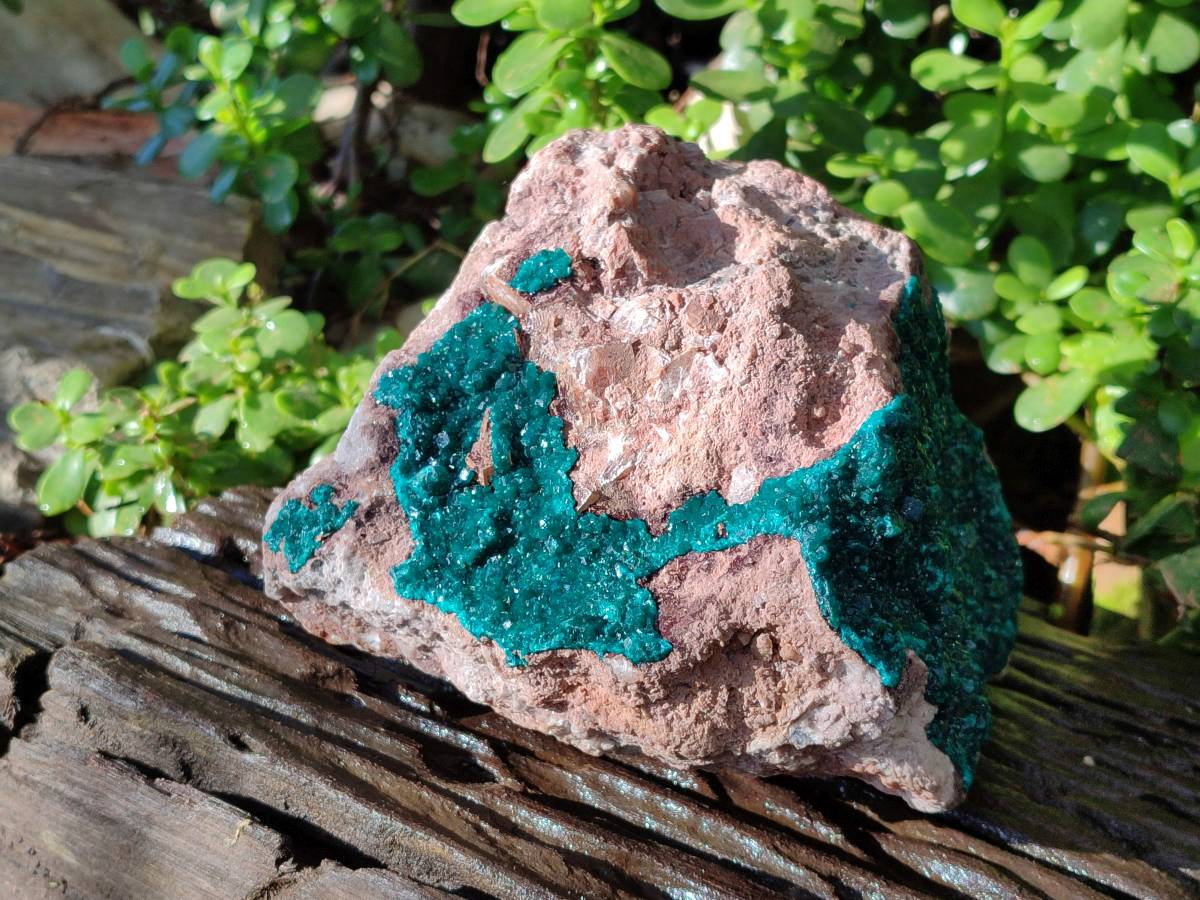 Natural Dioptase On Dolomite Specimen x 1 From Likasi, Congo - Toprock Gemstones and Minerals 