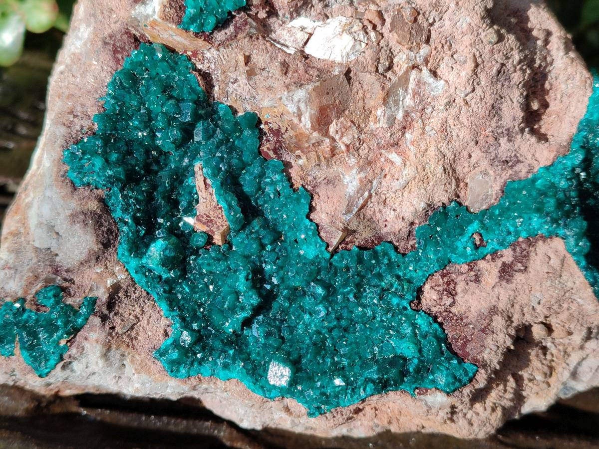 Natural Dioptase On Dolomite Specimen x 1 From Likasi, Congo - Toprock Gemstones and Minerals 