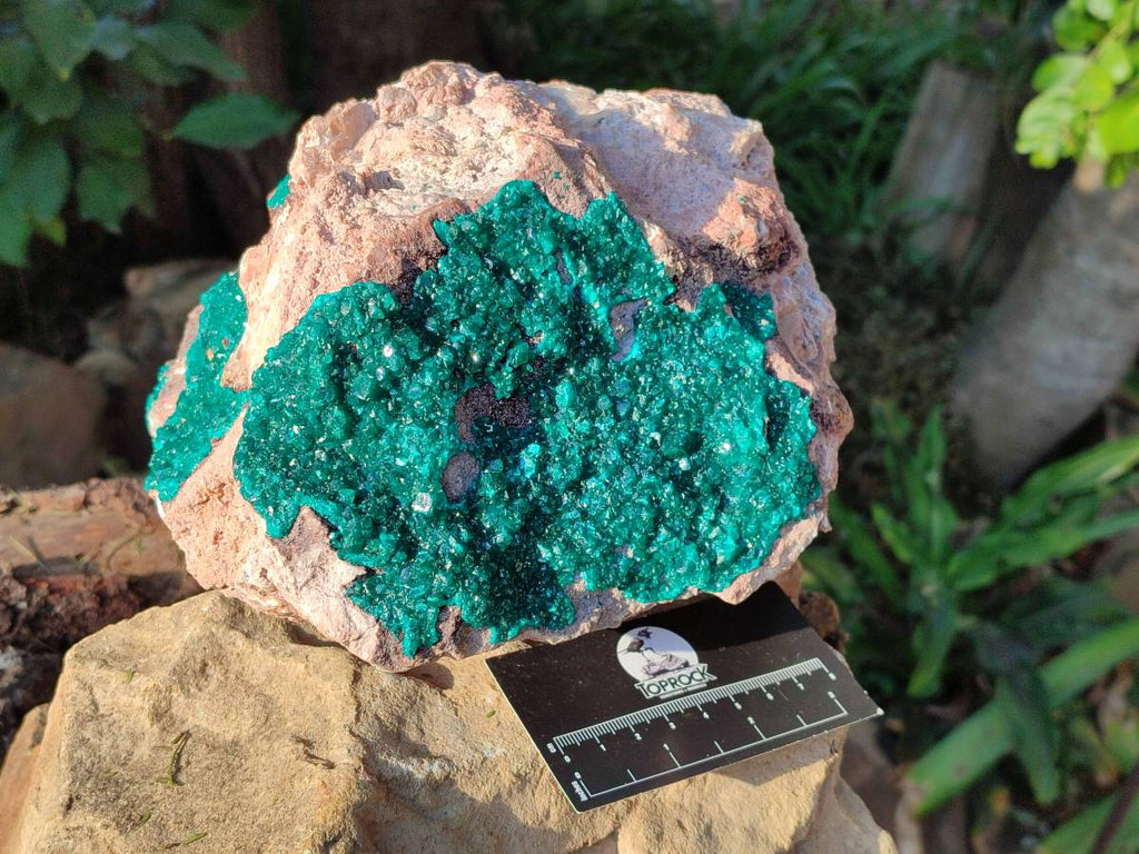 Natural Dioptase On Dolomite Specimen x 1 From Likasi, Congo - Toprock Gemstones and Minerals 