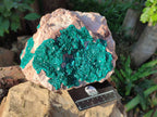 Natural Dioptase On Dolomite Specimen x 1 From Likasi, Congo - Toprock Gemstones and Minerals 