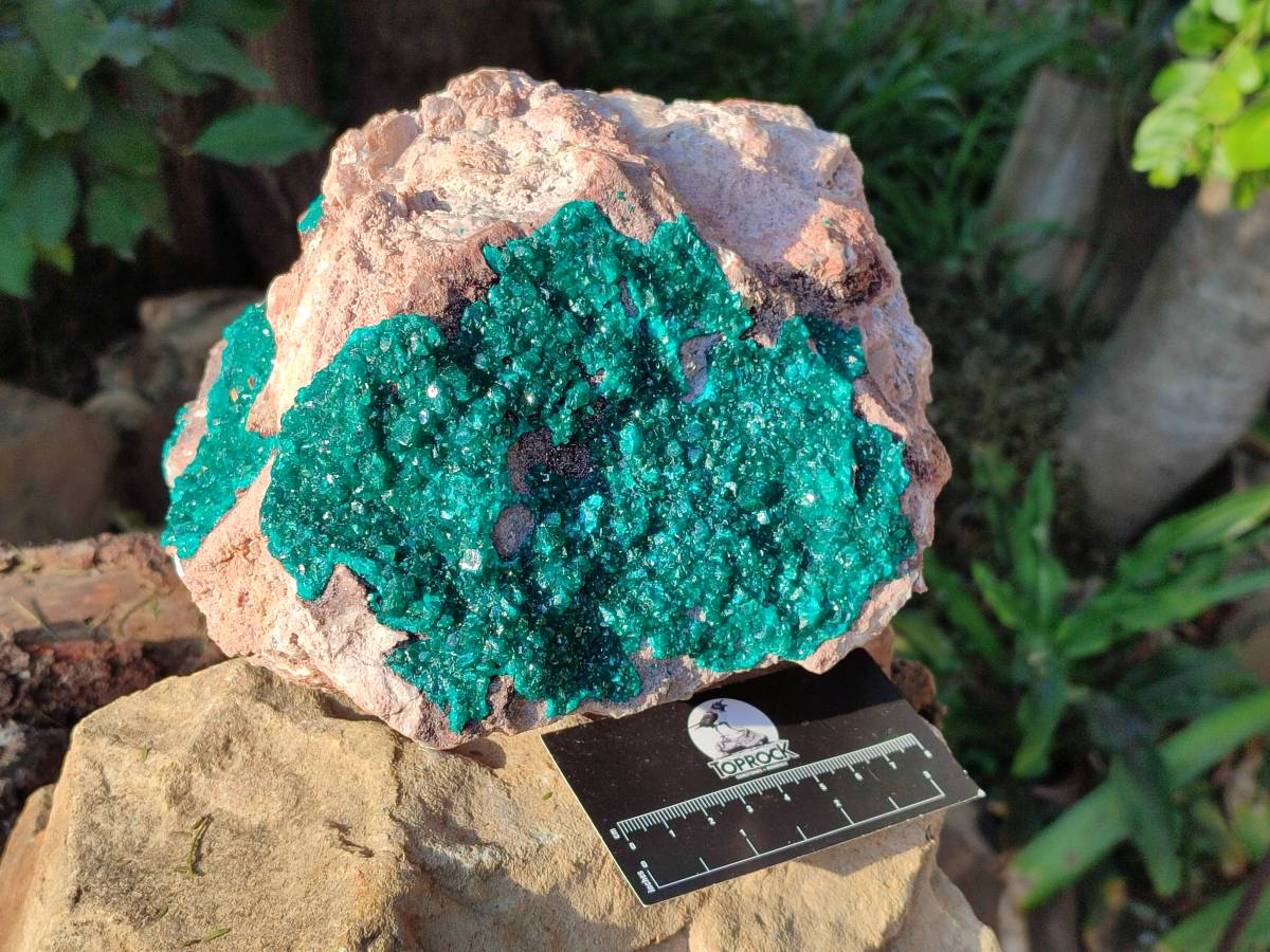 Natural Dioptase On Dolomite Specimen x 1 From Likasi, Congo - Toprock Gemstones and Minerals 