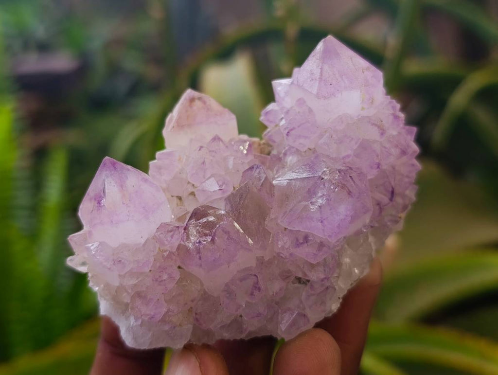 Natural Amethyst Spirit Quartz Clusters x 6 From South Africa - Toprock Gemstones and Minerals 