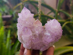 Natural Amethyst Spirit Quartz Clusters x 6 From South Africa - Toprock Gemstones and Minerals 