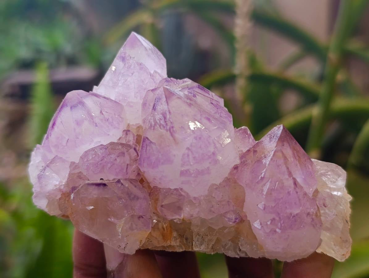 Natural Amethyst Spirit Quartz Clusters x 6 From South Africa - Toprock Gemstones and Minerals 