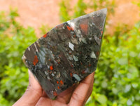 Polished Bloodstone Points x 3 From Swaziland