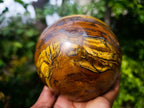 Polished Tigers Eye Sphere x 1 From Prieska, South Africa - Toprock Gemstones and Minerals 