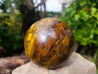Polished Tigers Eye Sphere x 1 From Prieska, South Africa