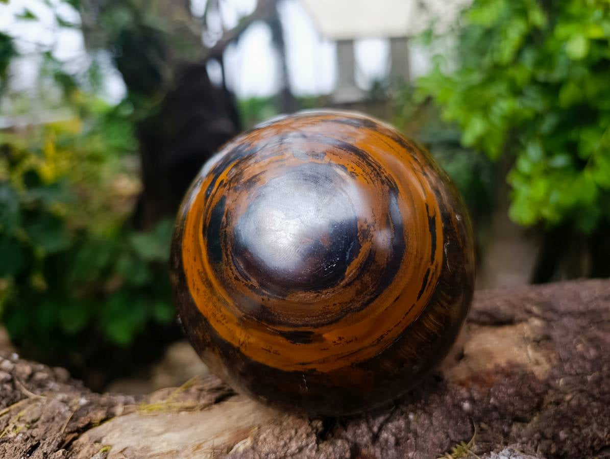 Polished Tigers Eye Sphere x 1 From Prieska, South Africa - Toprock Gemstones and Minerals 