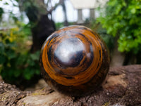 Polished Tigers Eye Sphere x 1 From Prieska, South Africa