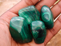 Polished Flower Banded Malachite Free Forms x 35 From Congo
