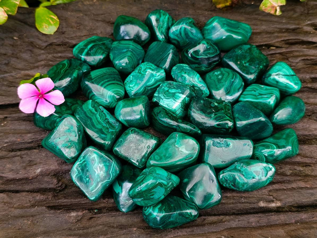 Polished Flower Banded Malachite Free Forms x 35 From Congo - Toprock Gemstones and Minerals 