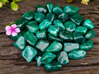 Polished Flower Banded Malachite Free Forms x 35 From Congo - Toprock Gemstones and Minerals 