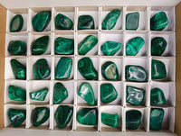 Polished Flower Banded Malachite Free Forms x 35 From Congo