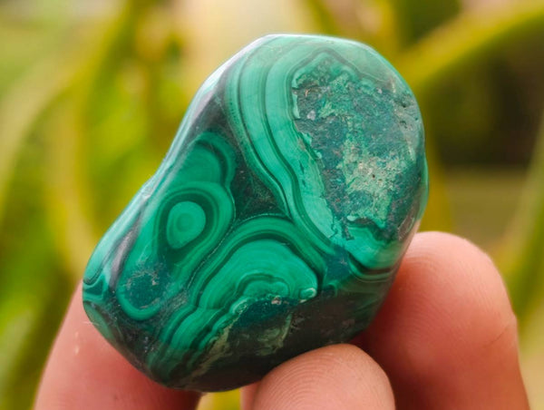 Polished Flower Banded Malachite Free Forms x 35 From Congo