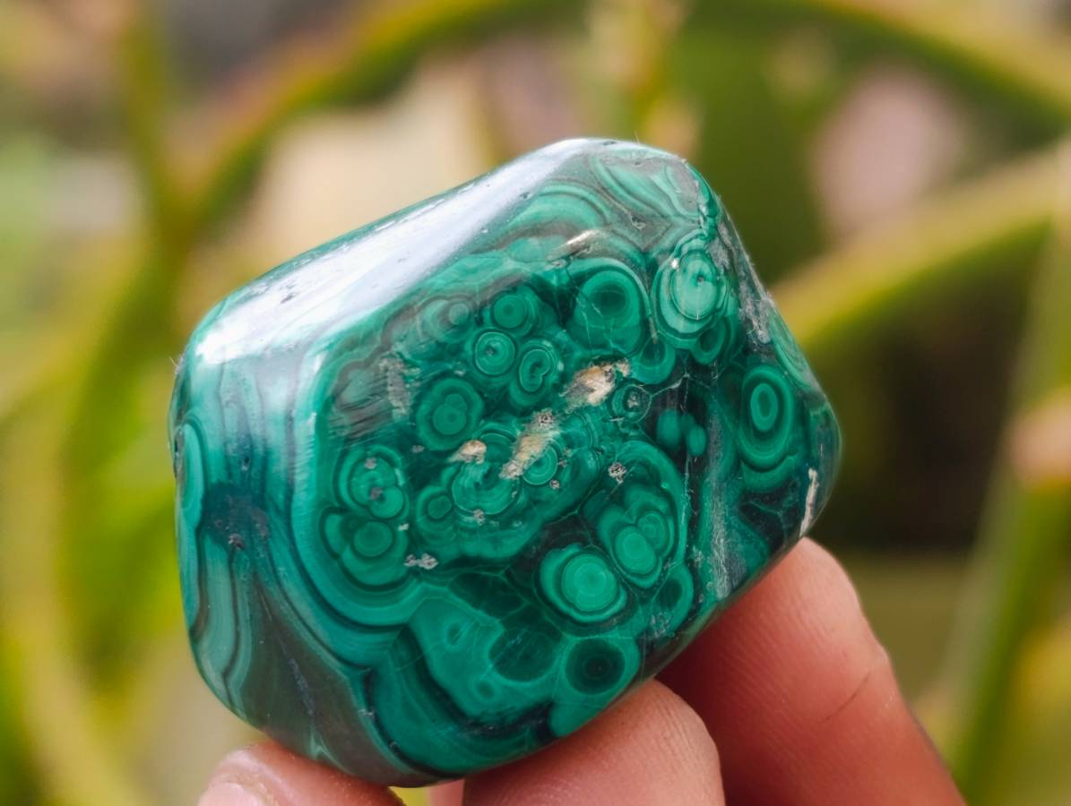 Polished Flower Banded Malachite Free Forms x 35 From Congo - Toprock Gemstones and Minerals 