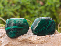Polished Flower Banded Malachite Free Forms x 35 From Congo