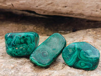 Polished Flower Banded Malachite Free Forms x 35 From Congo