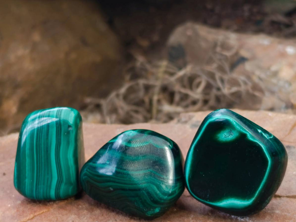 Polished Flower Banded Malachite Free Forms x 35 From Congo - Toprock Gemstones and Minerals 