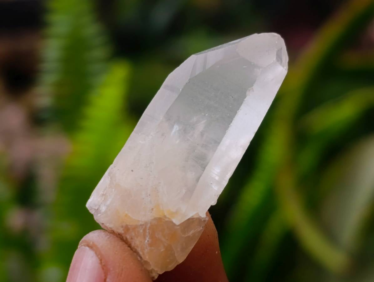 Natural Clear Quartz Crystals x 1.8 Kg Lot From Madagascar - Toprock Gemstones and Minerals 