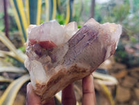 Natural Hematoid Quartz Clusters x 3 From Zimbabwe