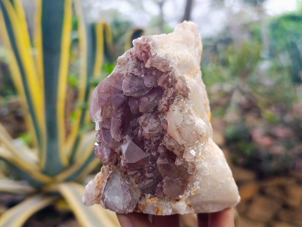 Natural Hematoid Quartz Clusters x 3 From Zimbabwe - Toprock Gemstones and Minerals 