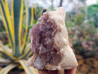 Natural Hematoid Quartz Clusters x 3 From Zimbabwe