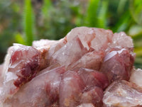 Natural Hematoid Quartz Clusters x 3 From Zimbabwe