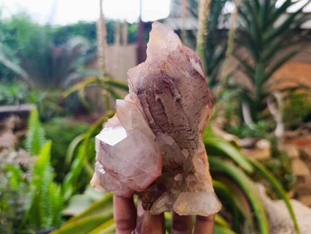 Natural Hematoid Quartz Clusters x 3 From Zimbabwe - Toprock Gemstones and Minerals 