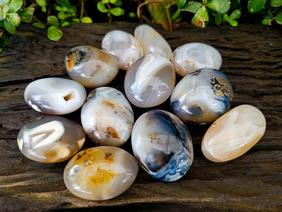 Polished Banded Agate Palm Stones x 12 From Madagascar - Toprock Gemstones and Minerals 