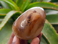 Polished Banded Agate Palm Stones x 12 From Madagascar
