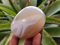 Polished Banded Agate Palm Stones x 12 From Madagascar